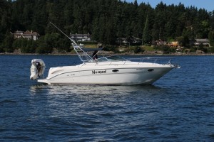 Sea Ray 290 Amberjack hi res exterior profile