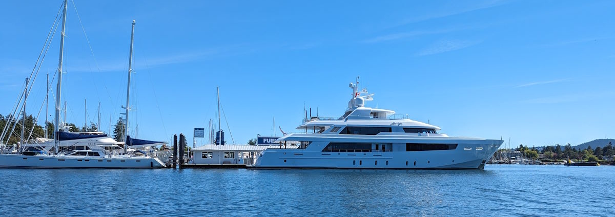 yachts in the marina