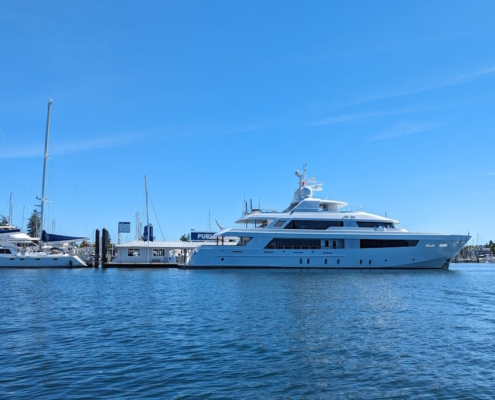 yachts in the marina