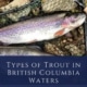 Types of Trout in British Columbia Waters