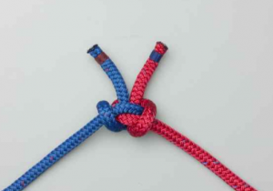 how to tie alpine butterfly bend knot