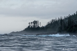 Vancouver Island Anchorages - Cape Scott - West Coast Vancouver Island