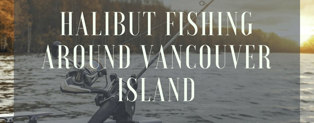halibut fishing around vancouver island