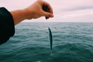 fish on vancouver island