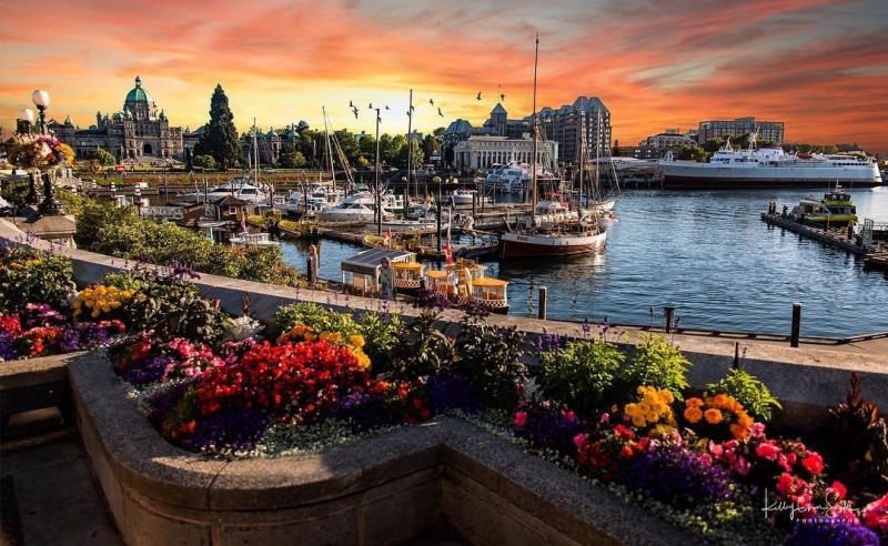 downtown Victoria harbour